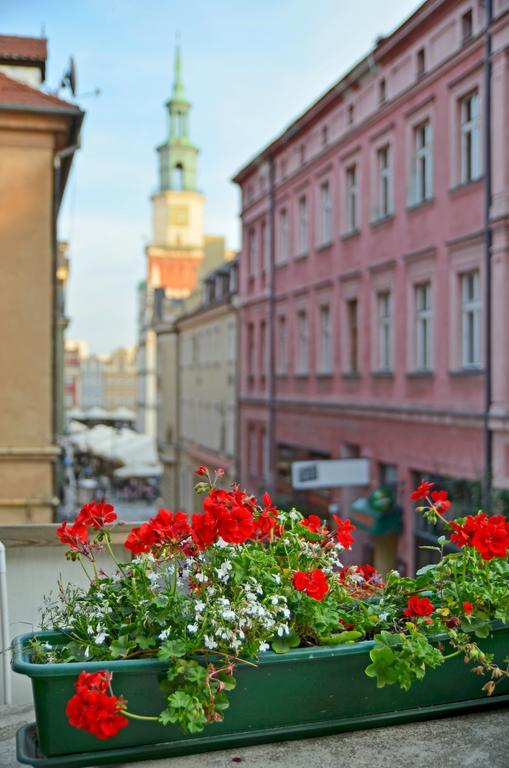 Hill Inn Poznan Bilik gambar